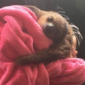 Meet your Posher, Brooke